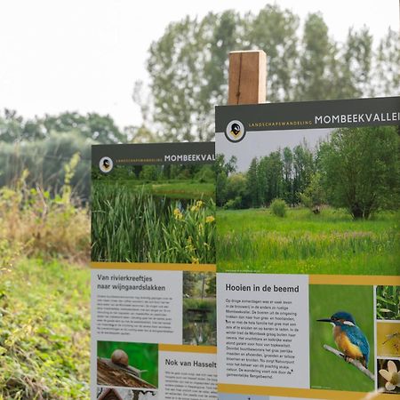 B&B Sasput Hasselt Zewnętrze zdjęcie